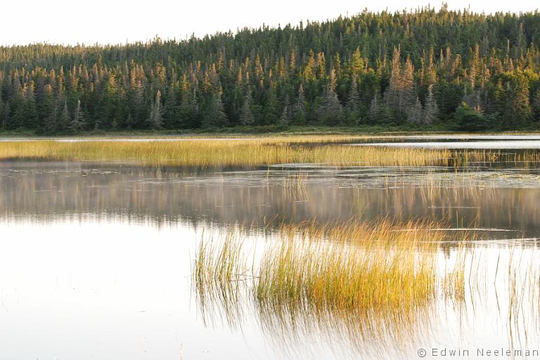 ENE-20080911-0027.jpg - La Manche Provincial Park